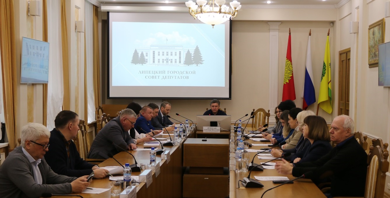 Участие в заседании профильной комиссии