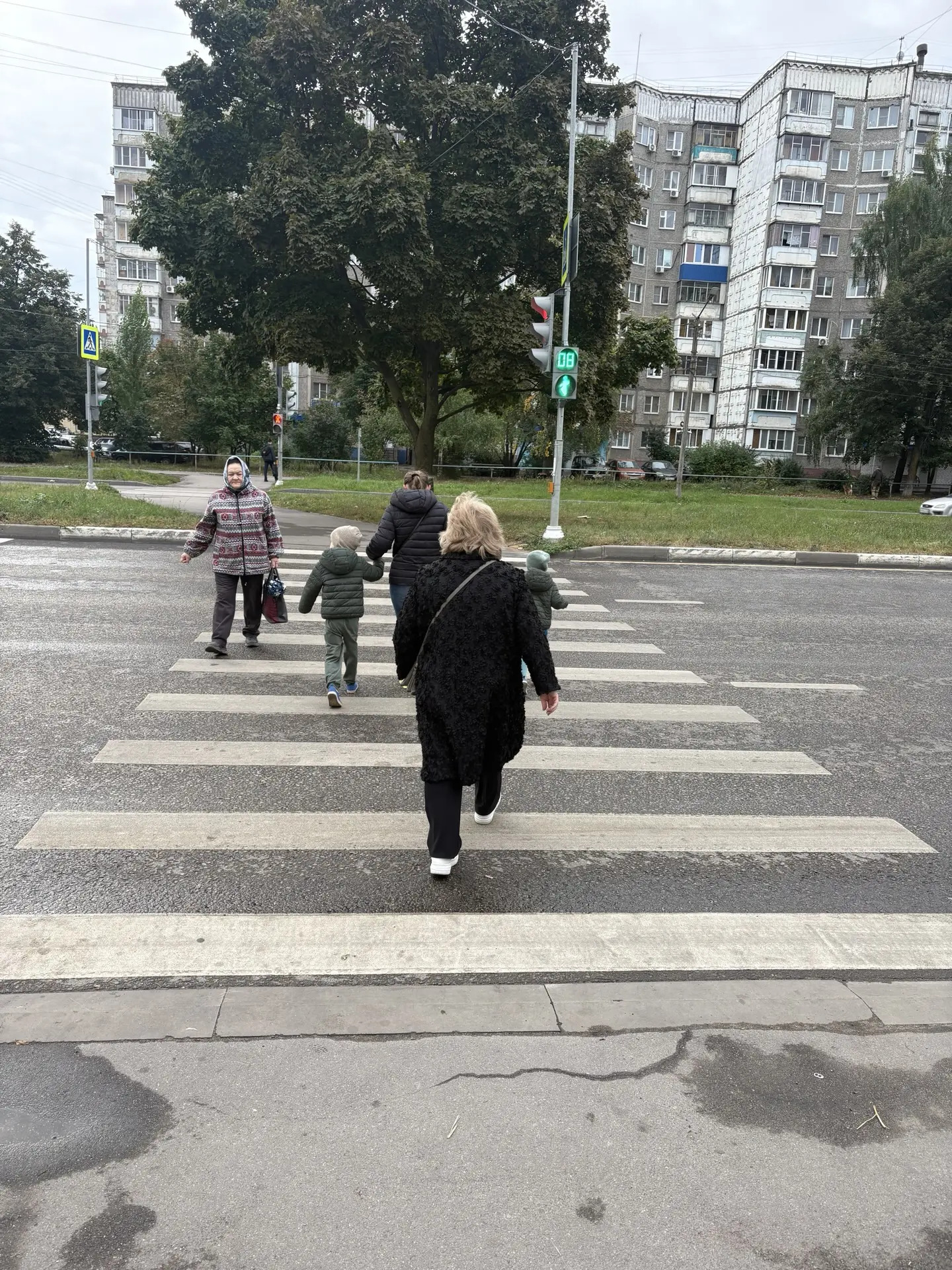 Для порядка на дороге установлен светофор…